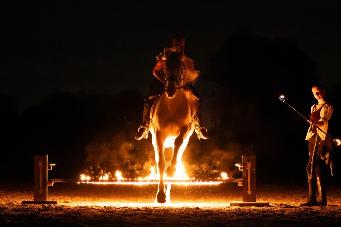 Photo spectacle de feu